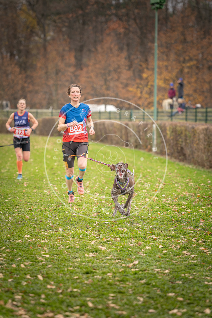 CaniXpix_DV3A6823 | Hundefotografie, Tierfotograf, Pfotenfotografie, Fotoshooting Hund, Hunde Portrait, Hundesport, Hundeportraits, Heideshooting, Hunde, Sportfotograf, Hundefotograf, Turnierhundsport, THS,  - Realisiert mit Pictrs.com