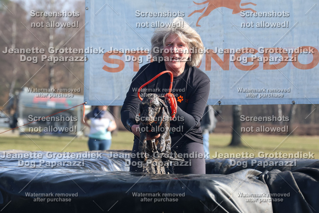Dog Paparazzi - Strongdog North Mrz26-1489 | Dog Paparazzi Jeanette Grottendiek Fotografie & Videografie - Realisiert mit Pictrs.com