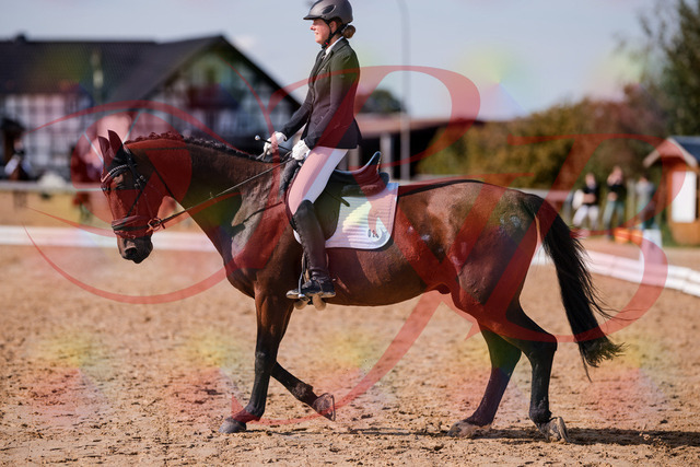 2026_10_03_Siefer-Hof_130211_Z81_55297670 | Professionelle Reitsport-, Turnier- und Eventfotografie von Robert Broda. Galerien mit ausgewählten und bearbeiteten Bildern direkt online ansehen und bestellen.