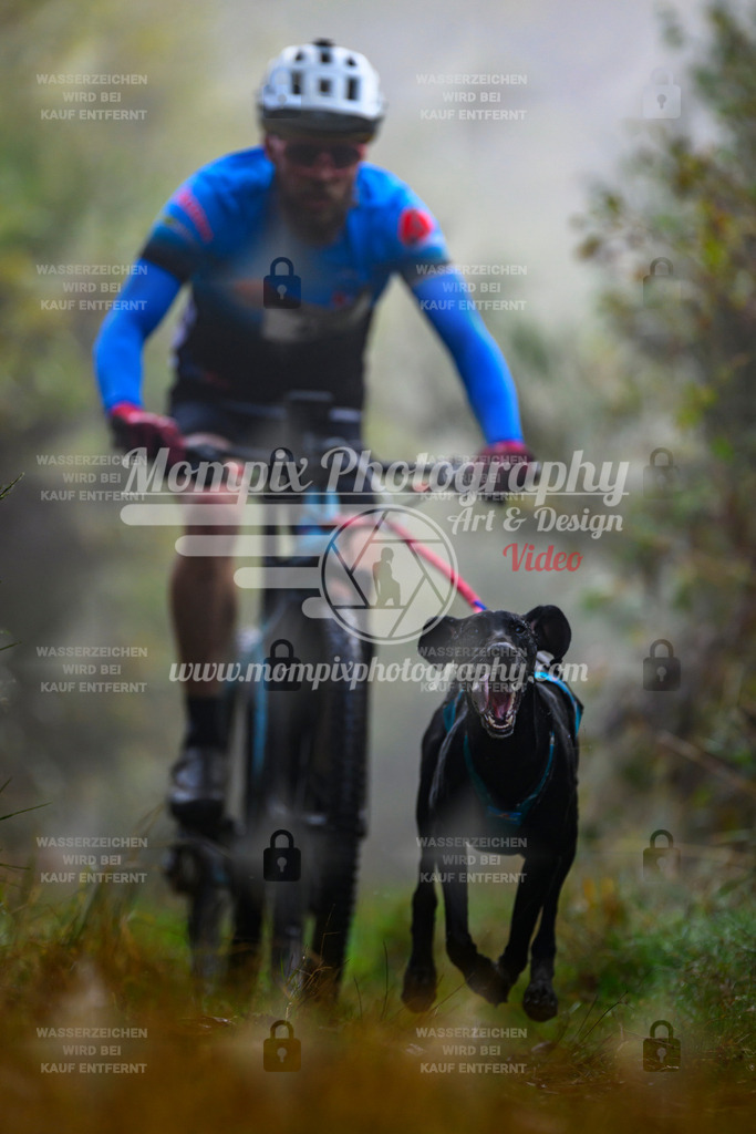 MompixPhotography_20TSB_E4_Bike-8 | PayLife