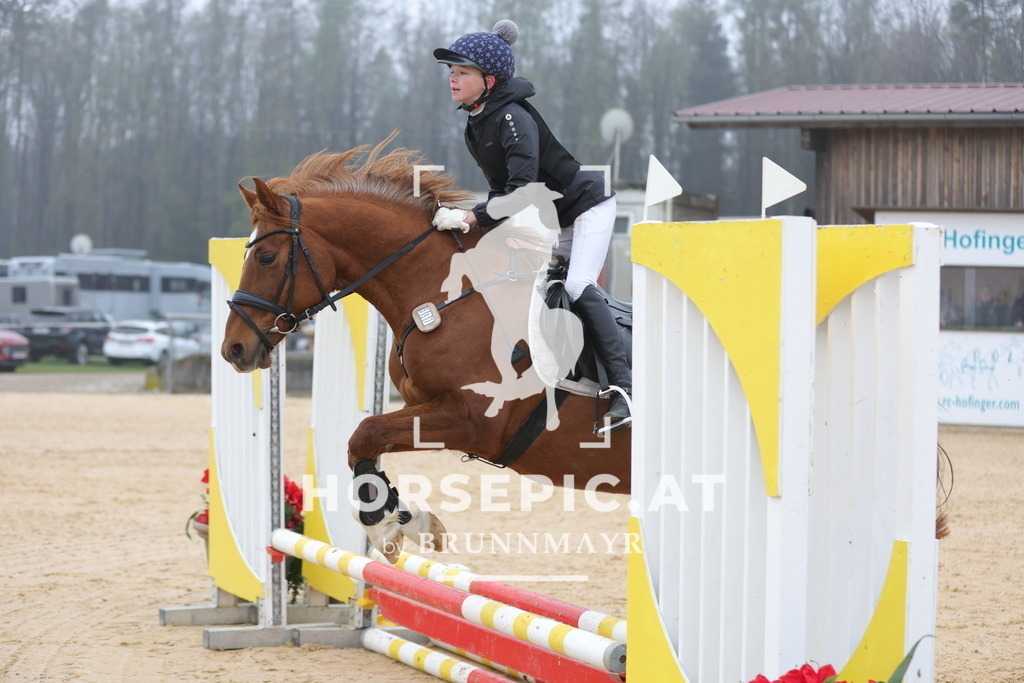 0P6A8241 | Willkommen bei Brunnmayr - Design & Fotografie – Ihrem Spezialisten für Reitturniere und Pferdeveranstaltungen in Oberösterreich, Salzburg und Bayern! Seit über 17 Jahren sind wir leidenschaftlich dabei.