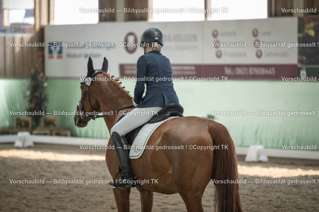 _D5A5775 | Emotionale Pferde- & People-Fotografie rund um Heidelberg, Leimen & Umgebung. Natürliche Fotos von Pferd, Mensch & Familie. Jetzt Termin sichern!