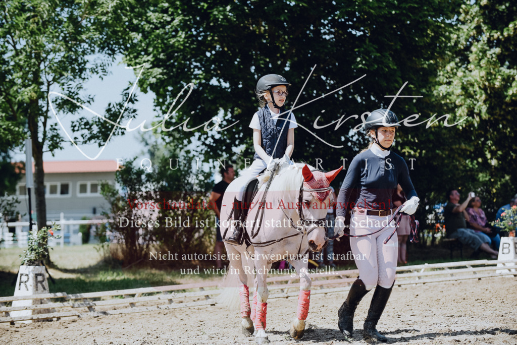 DSC_2484 | Pferde- und Turnierfotografie in Westsachsen. Pferdeportraits, Auftragszeichnungen und intuitive Kunst.