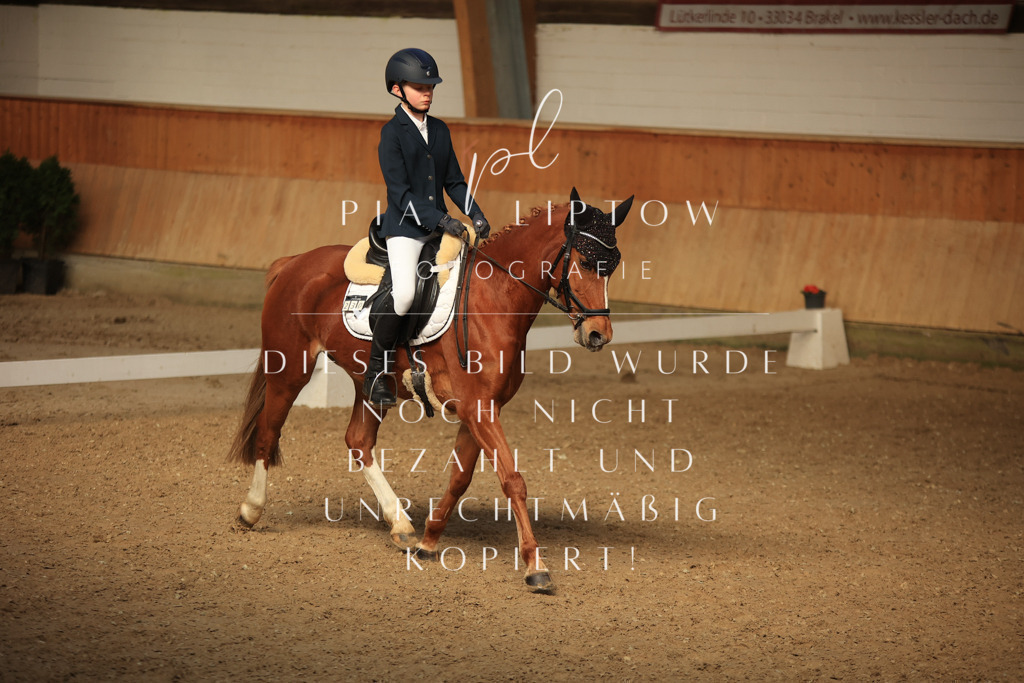 IMGT5143 | pl-fotografie