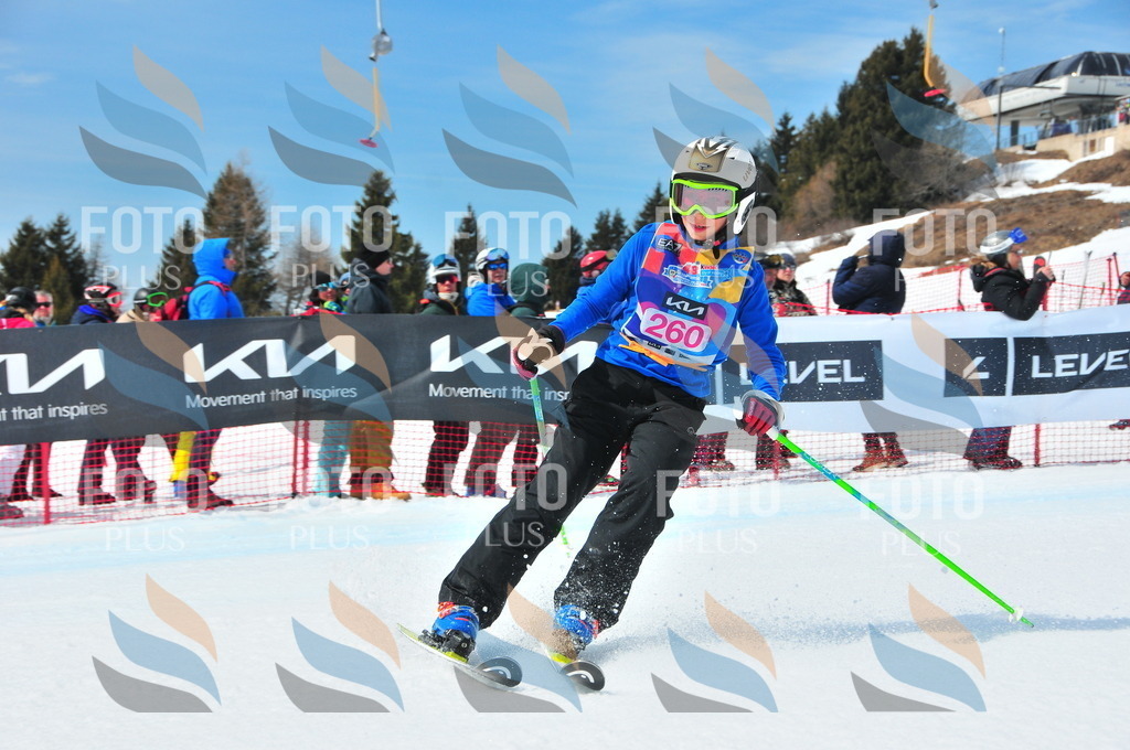 DSC_6182 | holidayphoto