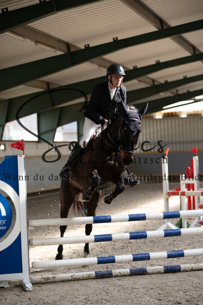 A7V08081 | Pferdefotograf