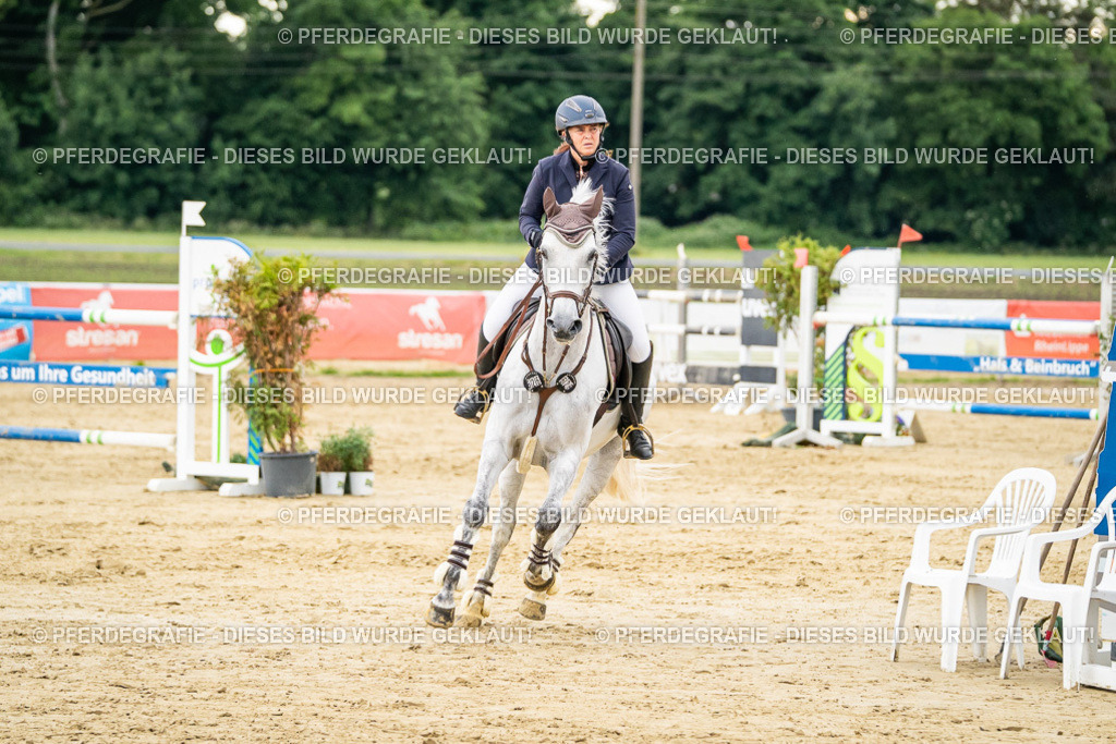 DSC06895 | Pferdegrafie