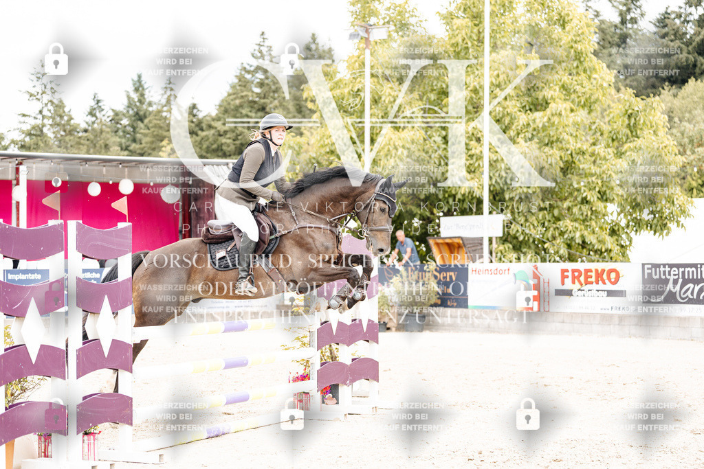 CK909340 | Turnierfotografie Pferdefotografie Trier Rheinland-Pfalz Pferdesport Reitsport Tierfotografie Sportfotografie Pferdevideo Pferdevideografie Equestrianvideography equestrianphotography  - Realisiert mit Pictrs.com