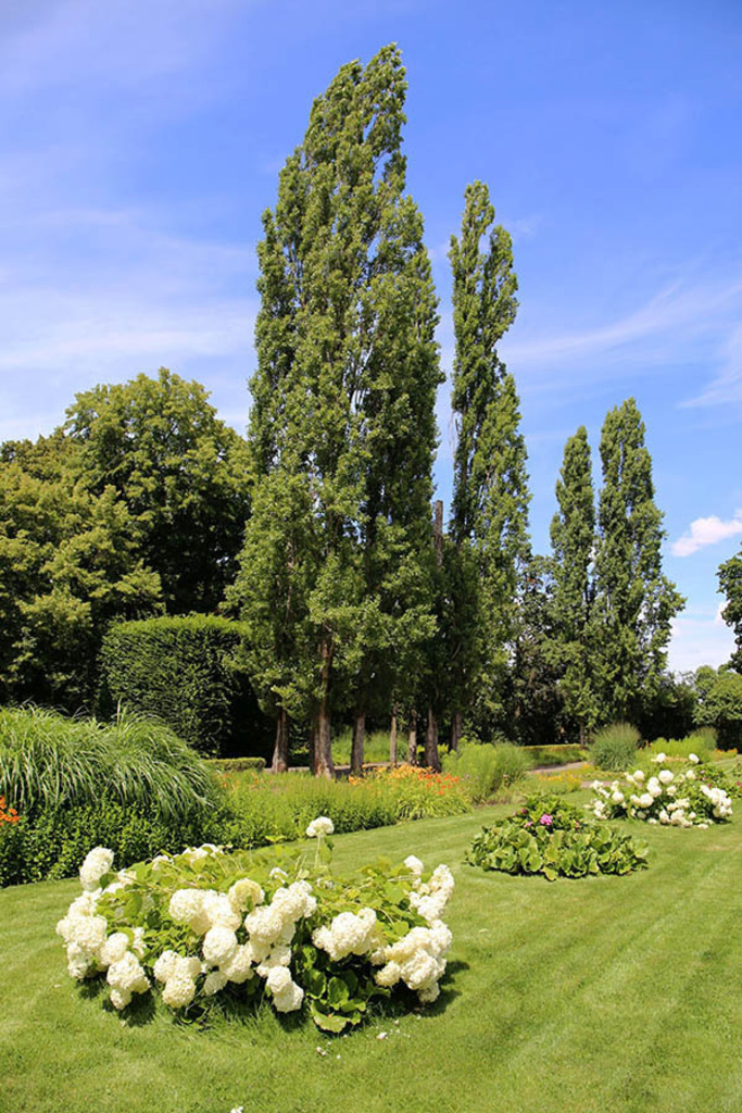 Mariannenpark | Das Team hinter BILDLEXIKON LEIPZIG bündelt historische wie aktuelle Informationen über die Stadt Leipzig in Text und Bild auf einer Plattform und stellt diese der interessierten Öffentlichkeit zur Verfügung.