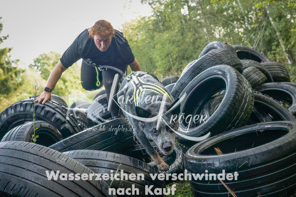 1048_ZZ90505-Bearbeitet | kk-dogfotos
