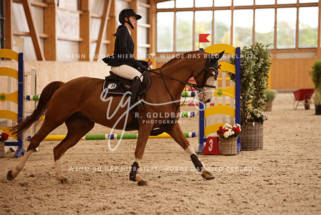 1J2A4399Lilli Plath_ Butler of Picobello Z_ Kn039_ Hohen Wieschendorf_ Glantz | Foto- und Videografie für alles rund ums Pferd. Hochwertige Bilder und Videos vom Spring- und Dressurreiten, Voltigieren & mehr. Jetzt aktuelle Veranstaltungen und Preise im Shop ansehen. - Realisiert mit Pictrs.com