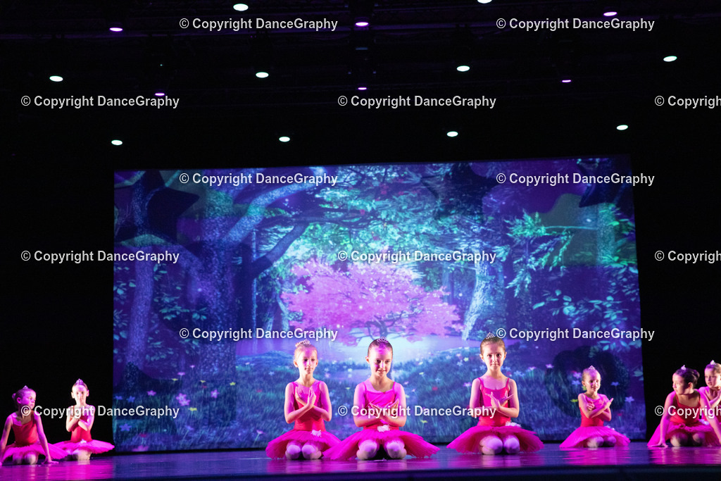 GPHY6030 | DanceGraphy - Realisiert mit Pictrs.com