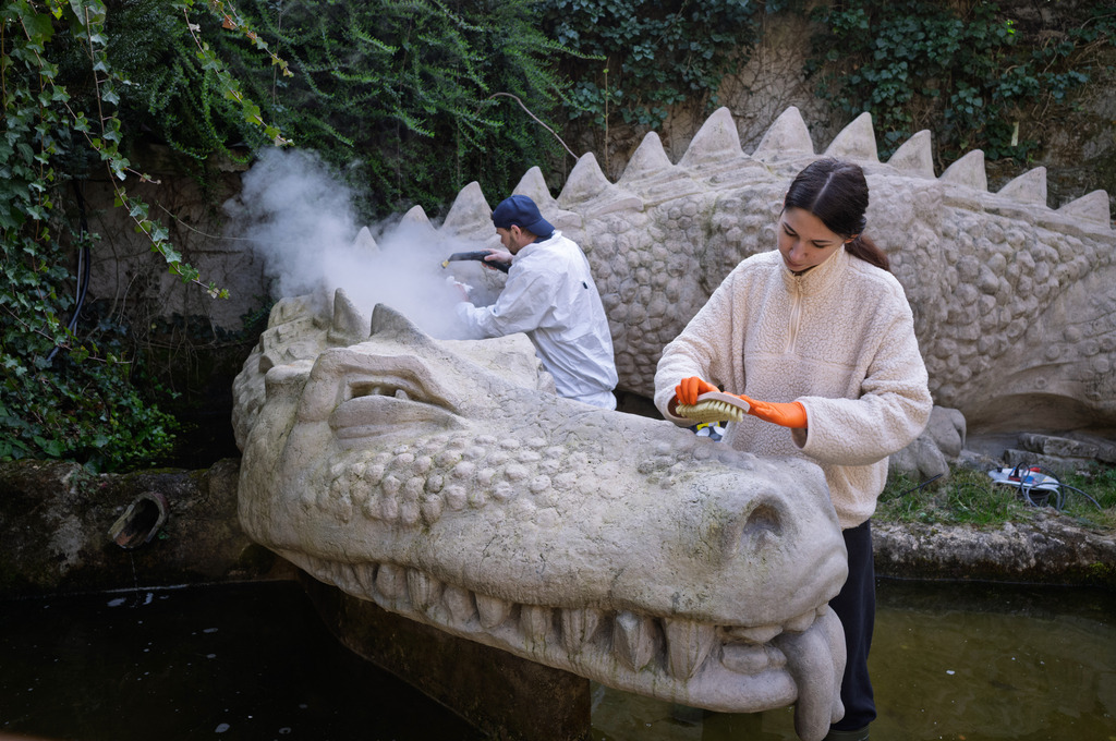 POA | Saeuberung Drachen Nibelungenhalle - Realisiert mit Pictrs.com