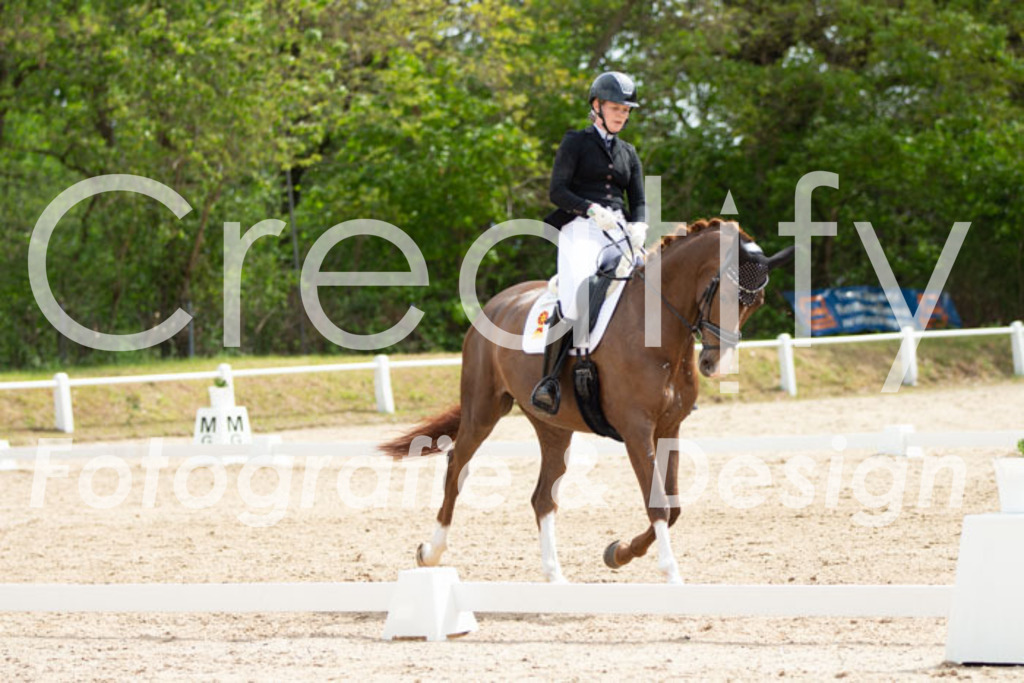 IMG_2328 | Creatify Fotografie