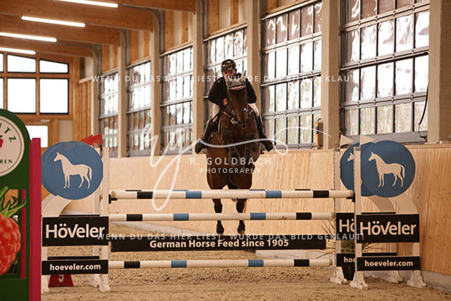 1J2A9611Jan Zdeb_ Jelte DD_ Kn295_ Glantz_ Hohen Wieschendorf | Foto- und Videografie für alles rund ums Pferd. Hochwertige Bilder und Videos vom Spring- und Dressurreiten, Voltigieren & mehr. Jetzt aktuelle Veranstaltungen und Preise im Shop ansehen. - Realisiert mit Pictrs.com