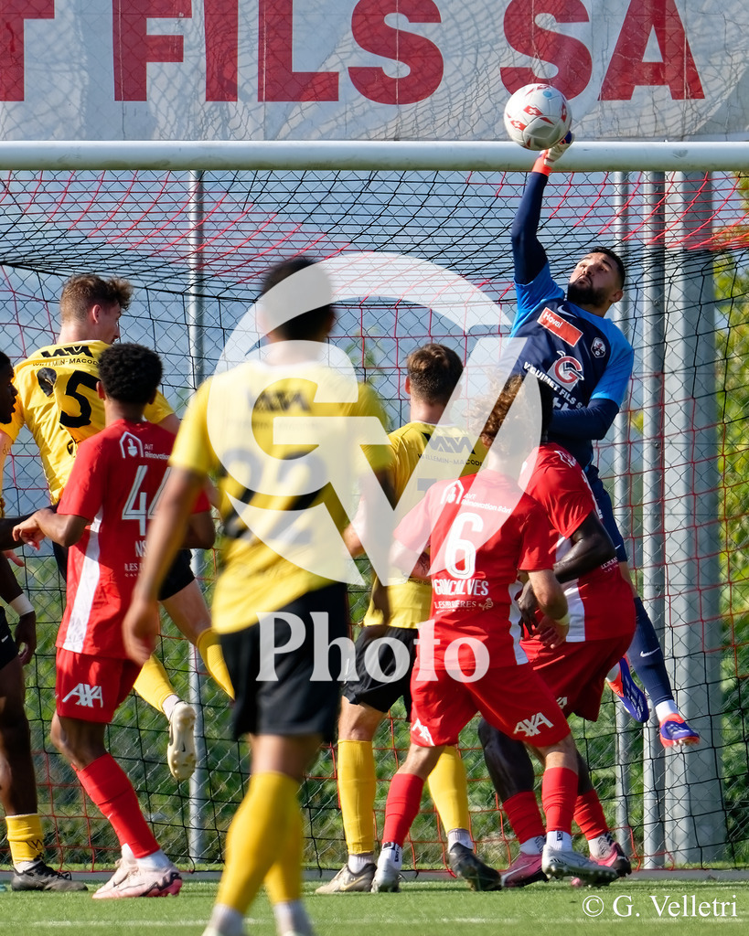 DZ9_4282 | Velletri Photo