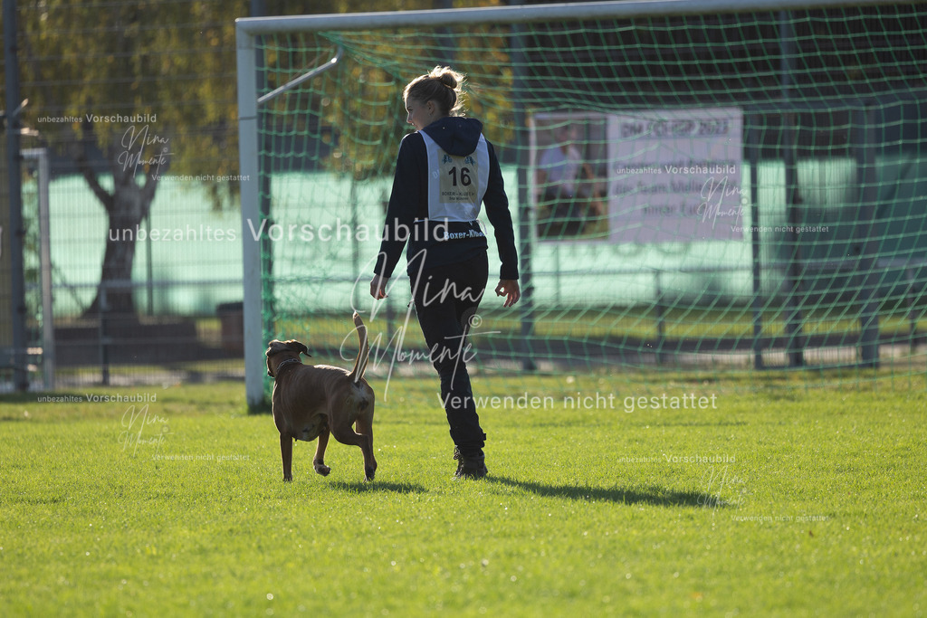 _16A4822 | Einzigartige Fotos von Hunden & Menschen –Actionfotos, Portraits, Vereinsaufnahmen & Paarshootings – authentisch, lebendig & mit Herz.