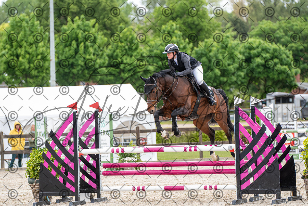 KPT_8723 | andre_photographic