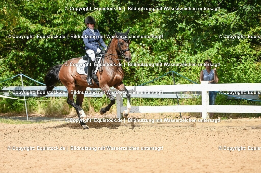 20230716_01_Dressurprüfung Kl.M_0190 | equistock