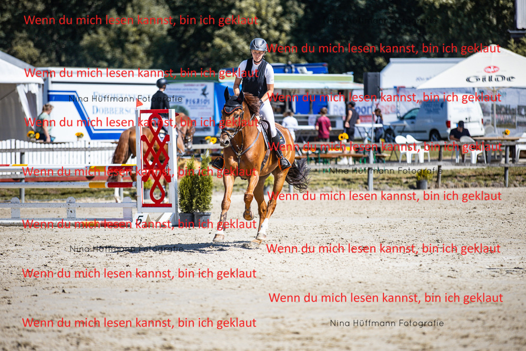 BK1A5514 | Turnierbilder Turnierfotos Nina Hüffmann Turnierfotografie Pferdefotografie Tierzeichnung Haustierzeichnung Pferdezeichnung Hundezeichnung Videograf  - Realisiert mit Pictrs.com