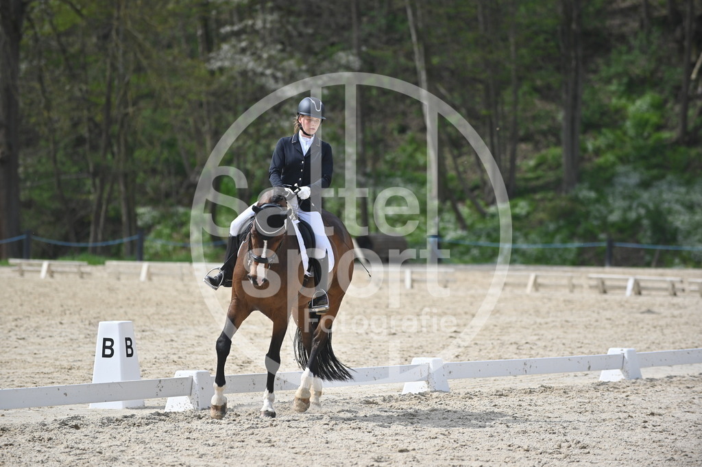 DSC_4157 | sattelsport - Realisiert mit Pictrs.com