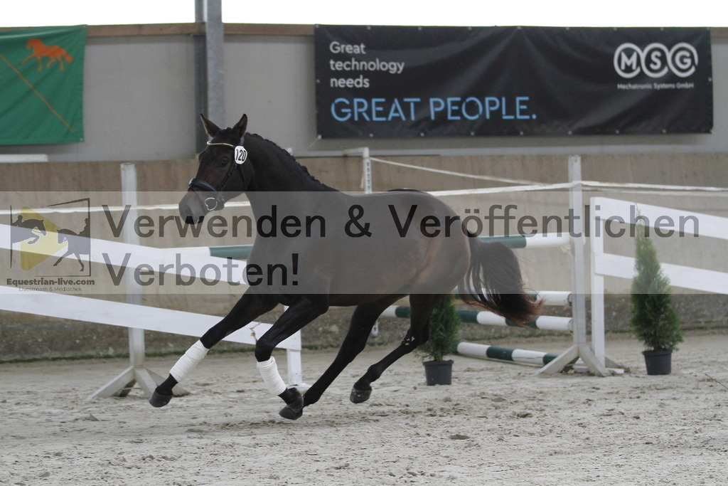 _MG_9467 | equestrian-live-com