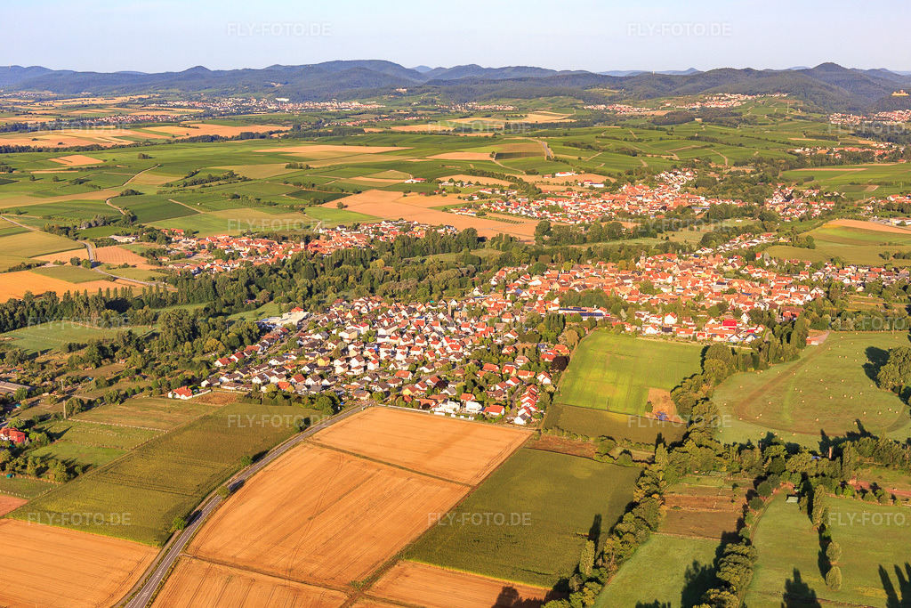 Luftbild: Ortsansicht von Nordosten im Ortsteil Billigheim in Billigheim-Ingenheim im Bundesland Rheinland-Pfalz in Deutschland. Foto: IMG_116650.jpg vom 11.08.2019 durch Werner Riehm/FLY-FOTO.de