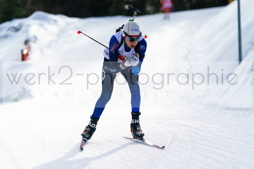 FESA Alpencup / DP Notschrei | Deutschland Pokal Finale im Schwarzwald NORDIC-CENTER Notschrei am 7. - 8. Februar 2026