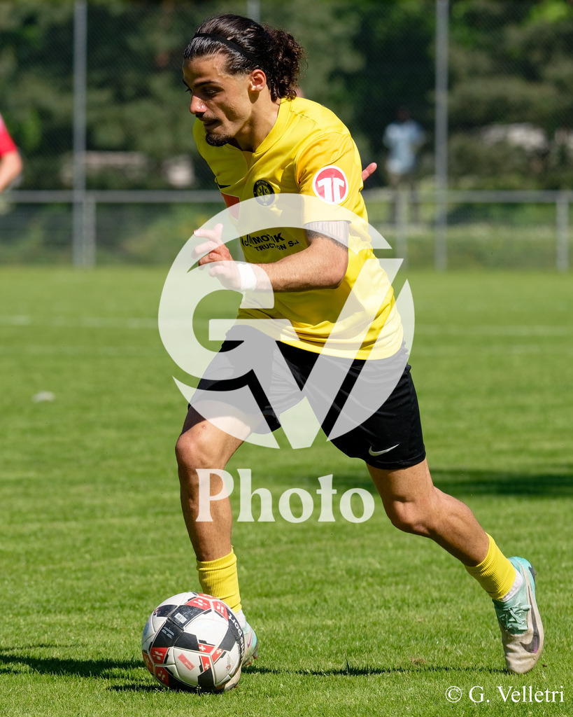 DSC_8394 | Velletri Photo