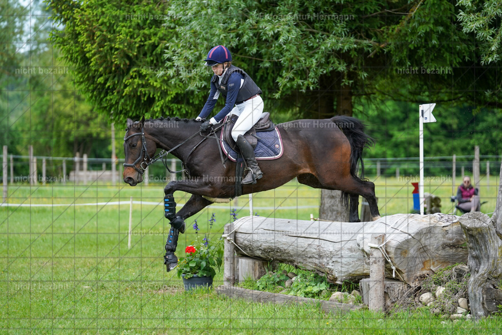20240518-FAH03660 | Turnierbilder von Niederseon, Turnierfotografen Bayern, Fotoagentur Herrmann, Geländebilder, Reitsportfotografie