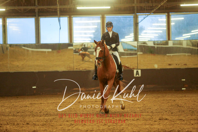 IMG_6971 | Turniersportfotografie; Pferdefotografie; Dressurfotografie