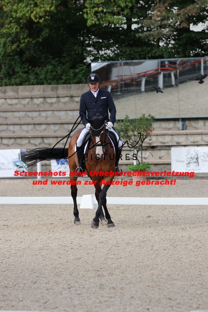 IMG_5964 | lmwpictures - Realisiert mit Pictrs.com