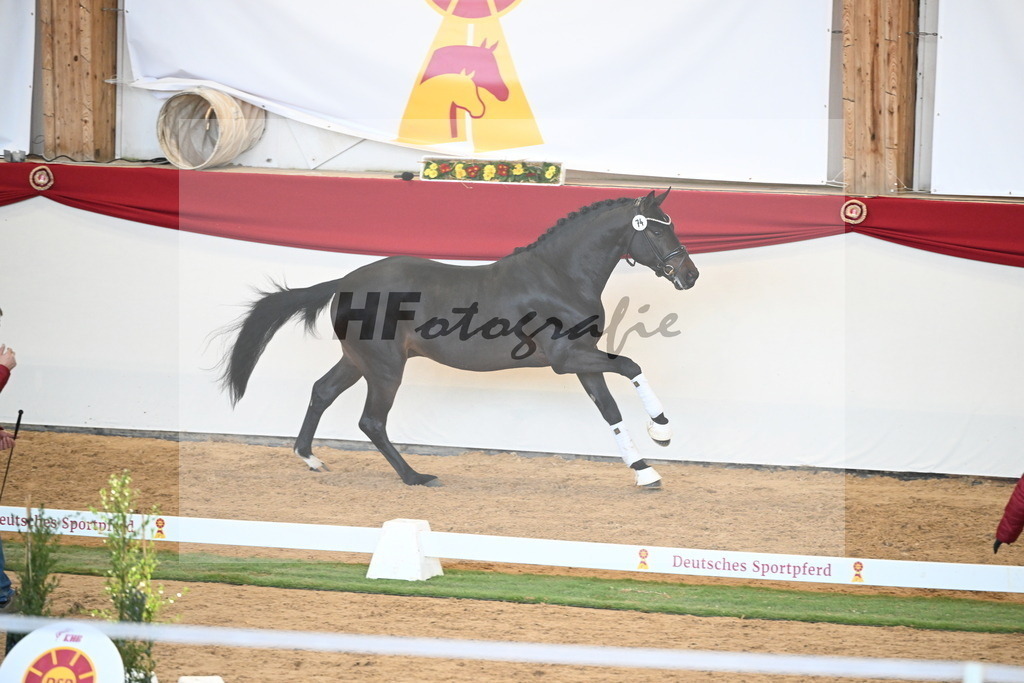 Kat.-Nr. 74 v. Quaterback_Mieleszko-Vekens_2250657 | hf-fotografie - Realisiert mit Pictrs.com