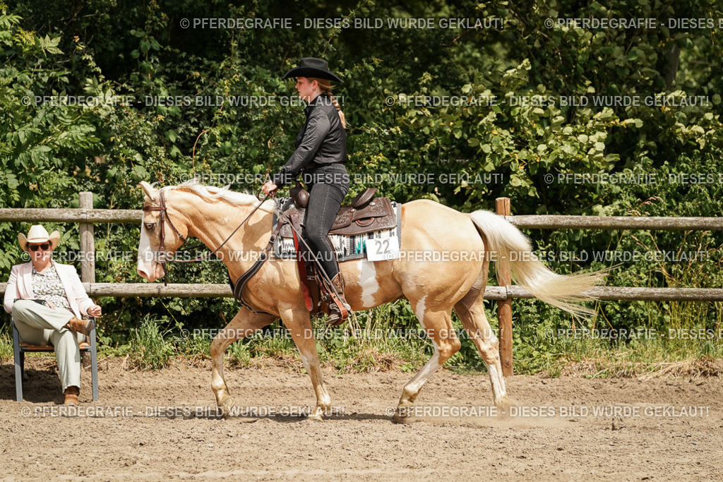 DSC09817 | Pferdegrafie