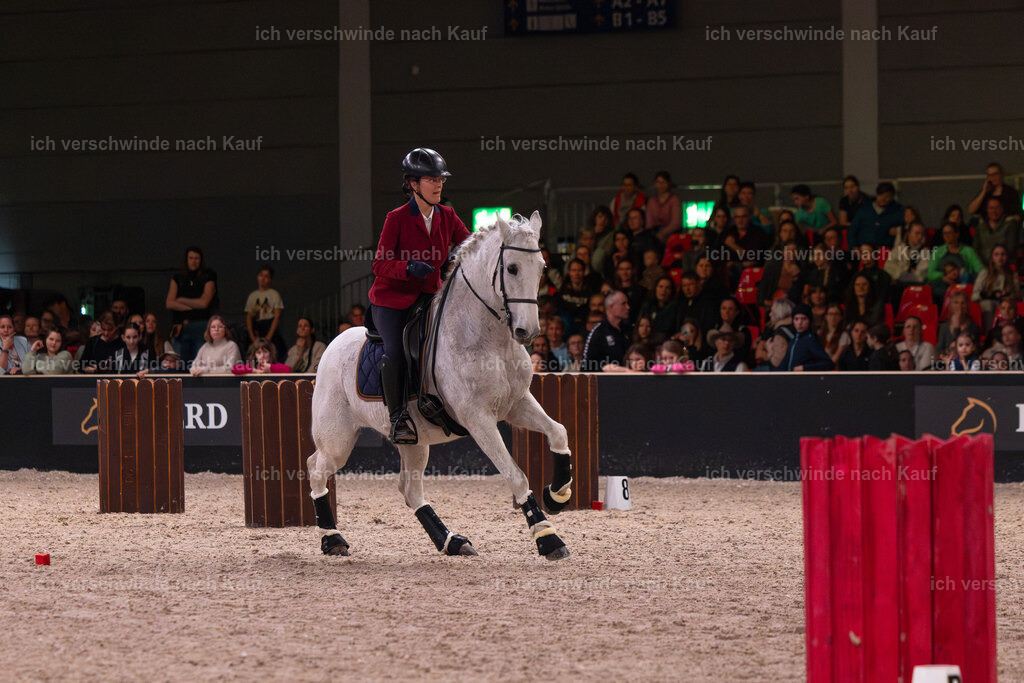 JoseraCup-195 | working equitationturnier fotograf videograf stoibphotography marixx film working equitation deutschland reitsport turnierfotografie eventfotografie equestrian events