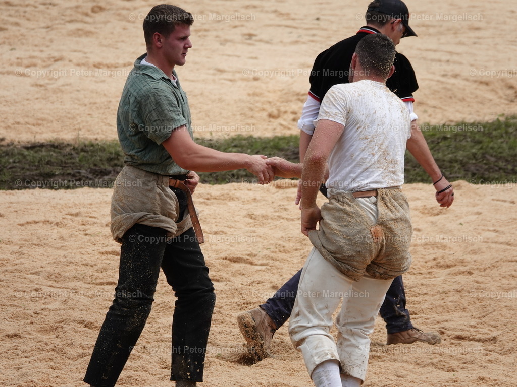 DSC07676 | Schwingen - Realisiert mit Pictrs.com