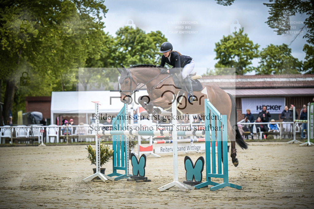 DOS_5603 | Entdecke hochwertige Reitturnierfotos von Foto Oger. Professionell, emotional und authentisch – jetzt Lieblingsmomente im Shop bestellen.Deutschlandweite Turnierfotografie. - Realisiert mit Pictrs.com