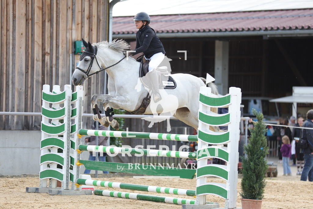 0P6A5039 | Willkommen bei Brunnmayr - Design & Fotografie – Ihrem Spezialisten für Reitturniere und Pferdeveranstaltungen in Oberösterreich, Salzburg und Bayern! Seit über 17 Jahren sind wir leidenschaftlich dabei.