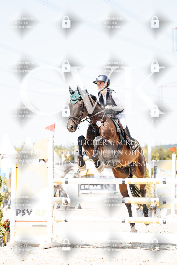CK909645 | Turnierfotografie Pferdefotografie Trier Rheinland-Pfalz Pferdesport Reitsport Tierfotografie Sportfotografie Pferdevideo Pferdevideografie Equestrianvideography equestrianphotography  - Realisiert mit Pictrs.com