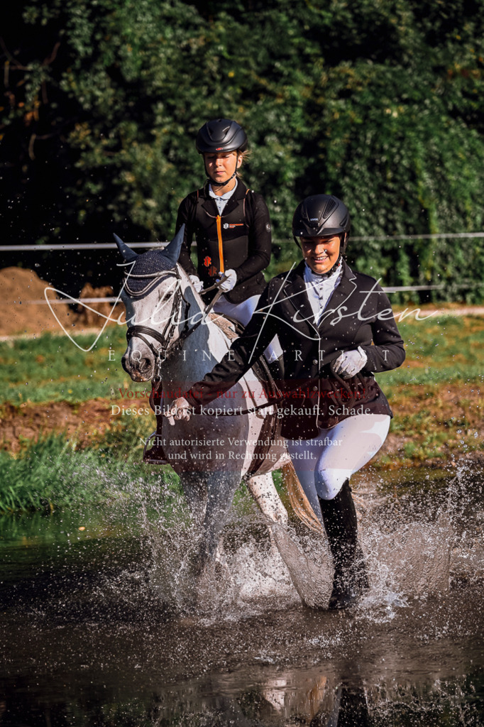 DSC_0444 | Pferde- und Turnierfotografie in Westsachsen. Pferdeportraits, Auftragszeichnungen und intuitive Kunst.
