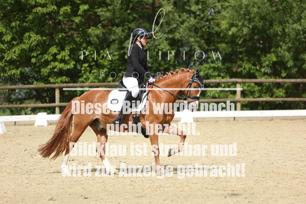 IMGM1378 | pl-fotografie