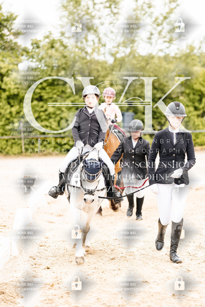 CK903724 | Turnierfotografie Pferdefotografie Trier Rheinland-Pfalz Pferdesport Reitsport Tierfotografie Sportfotografie Pferdevideo Pferdevideografie Equestrianvideography equestrianphotography  - Realisiert mit Pictrs.com