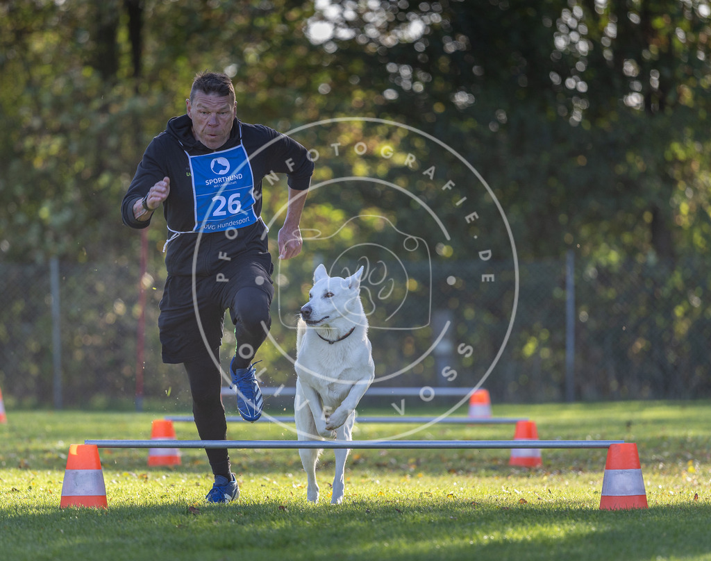 Pfotenfotografie.de_DV3A2998 | Hundefotografie, Tierfotograf, Pfotenfotografie, Fotoshooting Hund, Hunde Portrait, Hundesport, Hundeportraits, Heideshooting, Hunde, Sportfotograf, Hundefotograf, Turnierhundsport, THS, canicross - Realisiert mit Pictrs.com