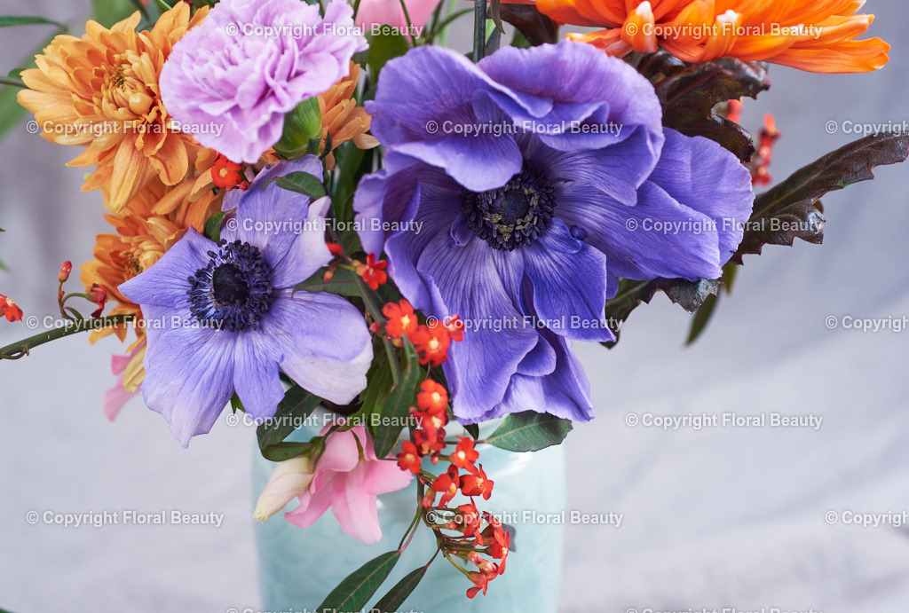 Strauss_alte_Meister_lila_orange | Lila-oranger Blumenstrauß im Stil der alten Meister auf grauem Untergrund - Realisiert mit Pictrs.com