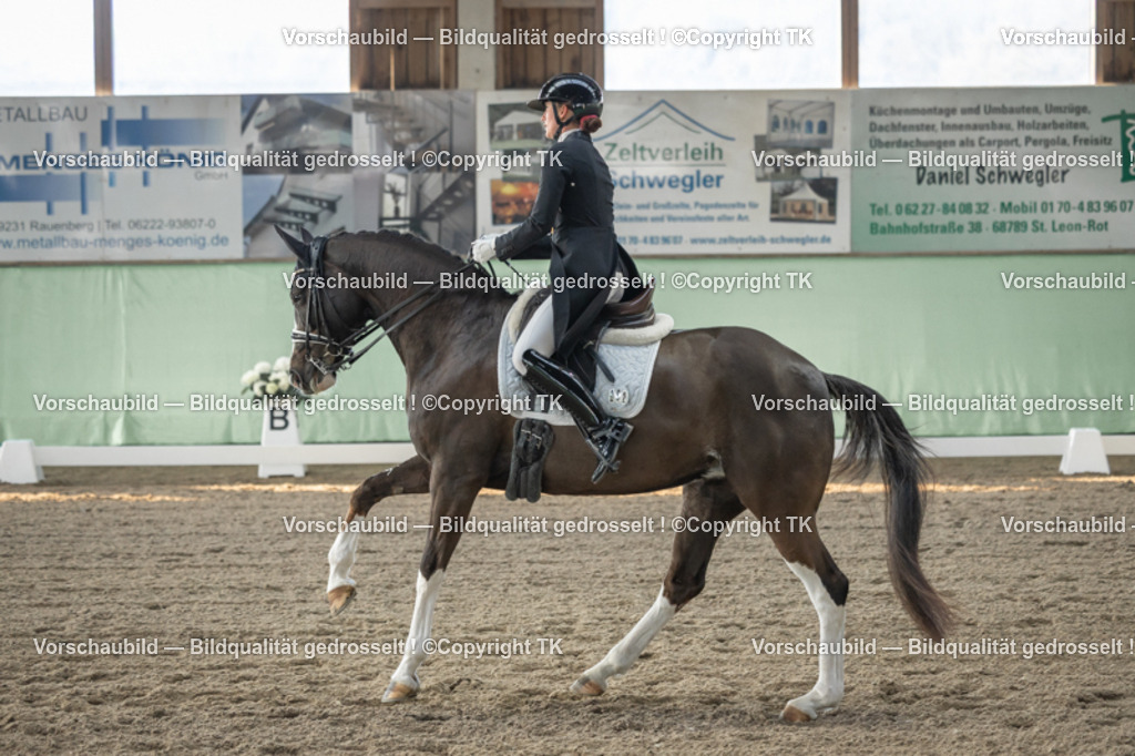 _D5A7855 | Emotionale Pferde- & People-Fotografie rund um Heidelberg, Leimen & Umgebung. Natürliche Fotos von Pferd, Mensch & Familie. Jetzt Termin sichern!