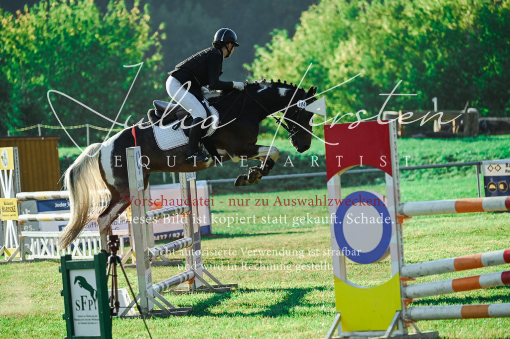 DSC_4484 | Pferde- und Turnierfotografie in Westsachsen. Pferdeportraits, Auftragszeichnungen und intuitive Kunst.