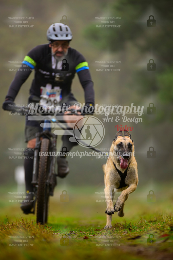 MompixPhotography_Bischwiller2025_Bike-35 | mompixphotography
