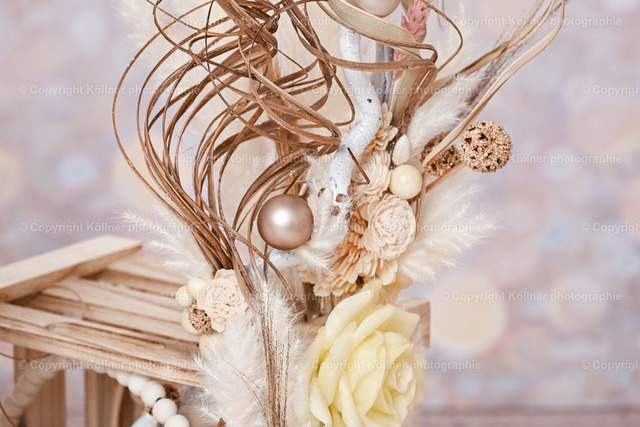 DSC_9390 | Homepage von Tobias Köllner