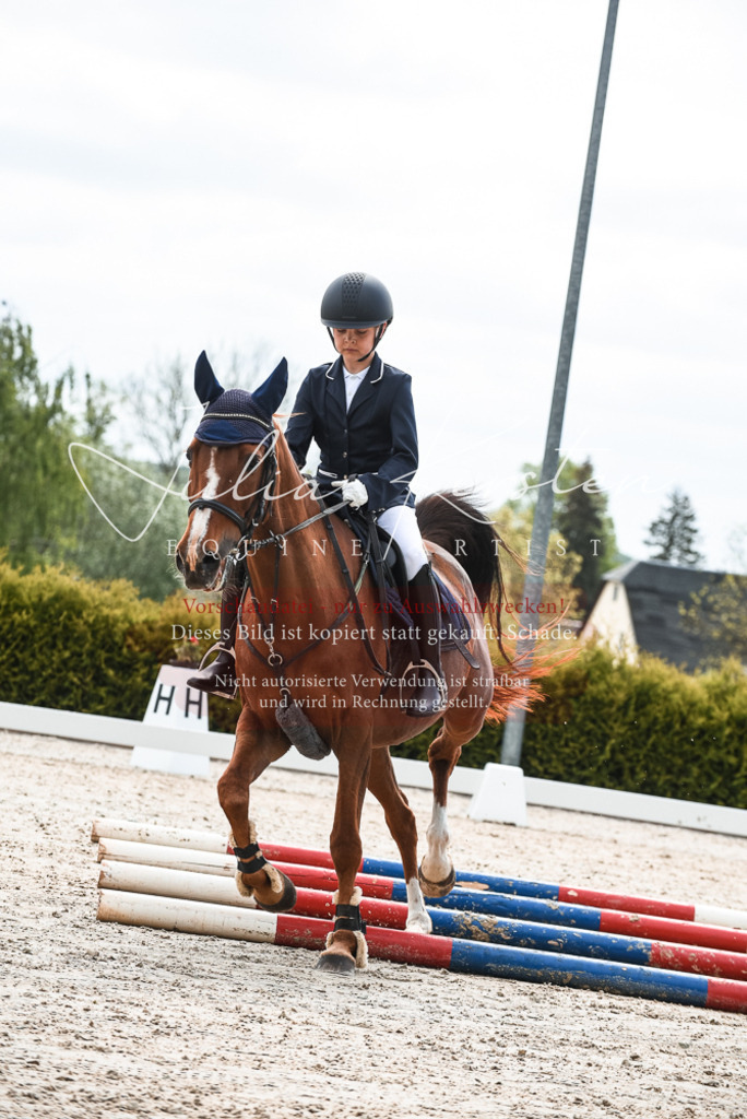 20230518_JK-Röhrsdorf-10-007 | Pferde- und Turnierfotografie in Westsachsen. Pferdeportraits, Auftragszeichnungen und intuitive Kunst.