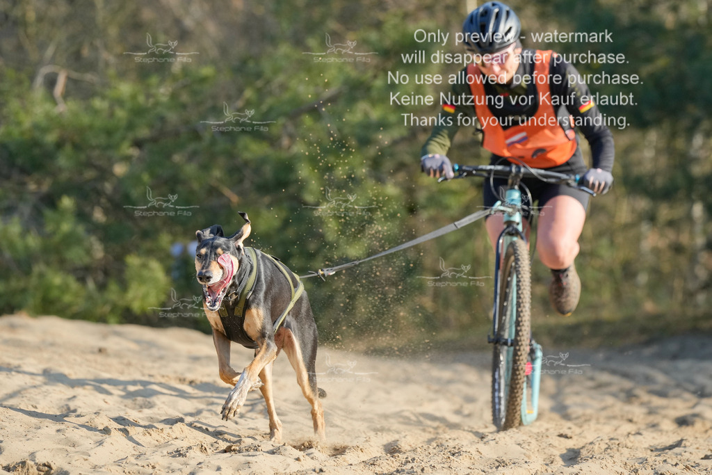 So_Scooter-238 | stephaniefillaphotographie - Realisiert mit Pictrs.com